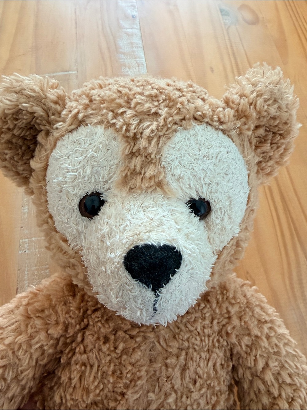 Disney Parks Hidden Mickey Duffy The Disney Bear 18'' Plush - Picture 16 of 16